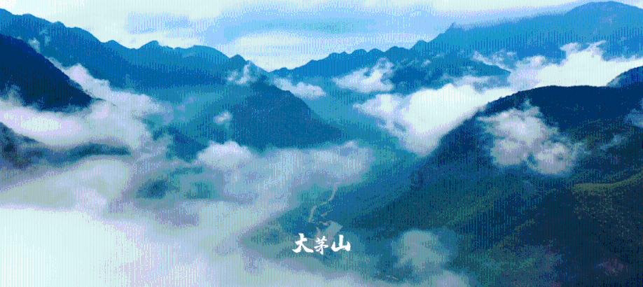 支付宝转错了人怎么追回？游戏画面